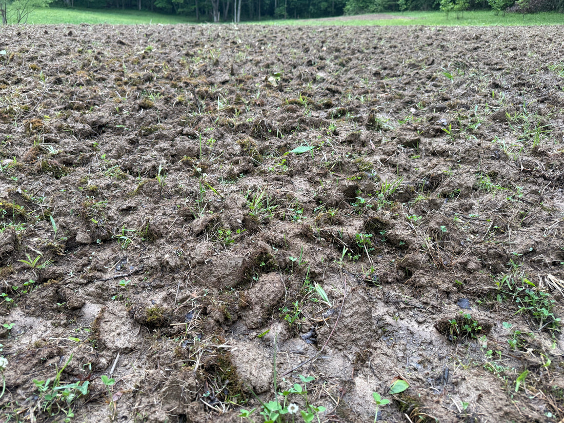 Building a Food Plot From Scratch